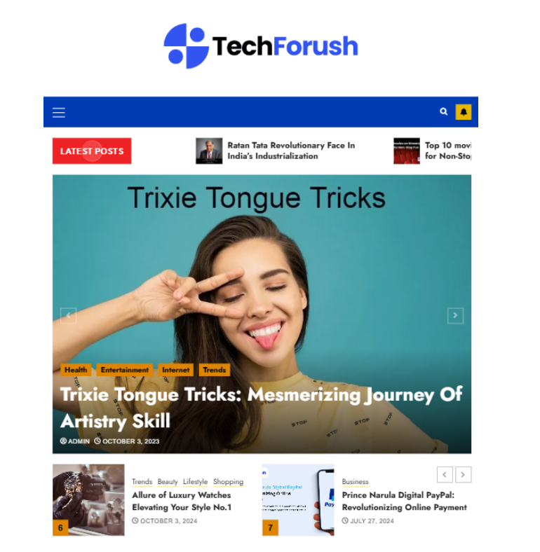 Digital Marketing Agency in India portfolio-techforush