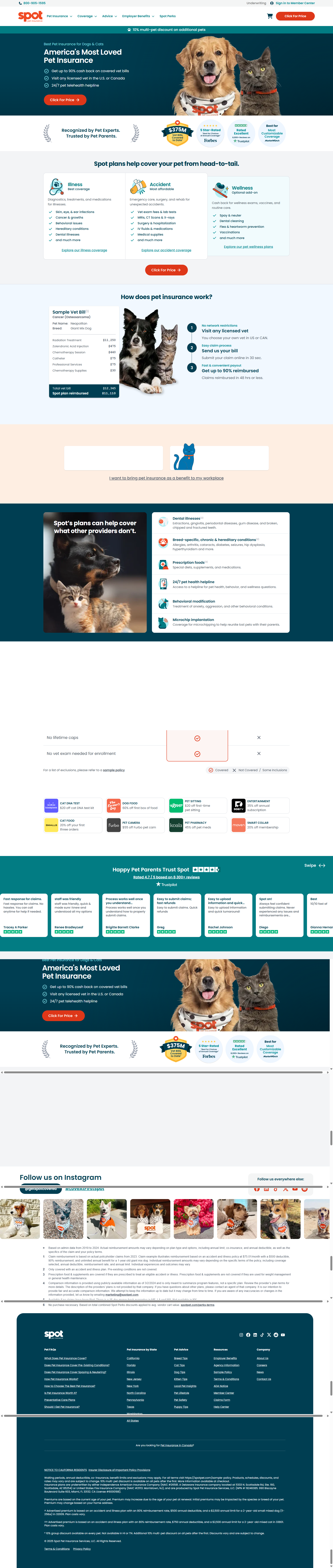 Digital marketing project portfolio by Adzynix